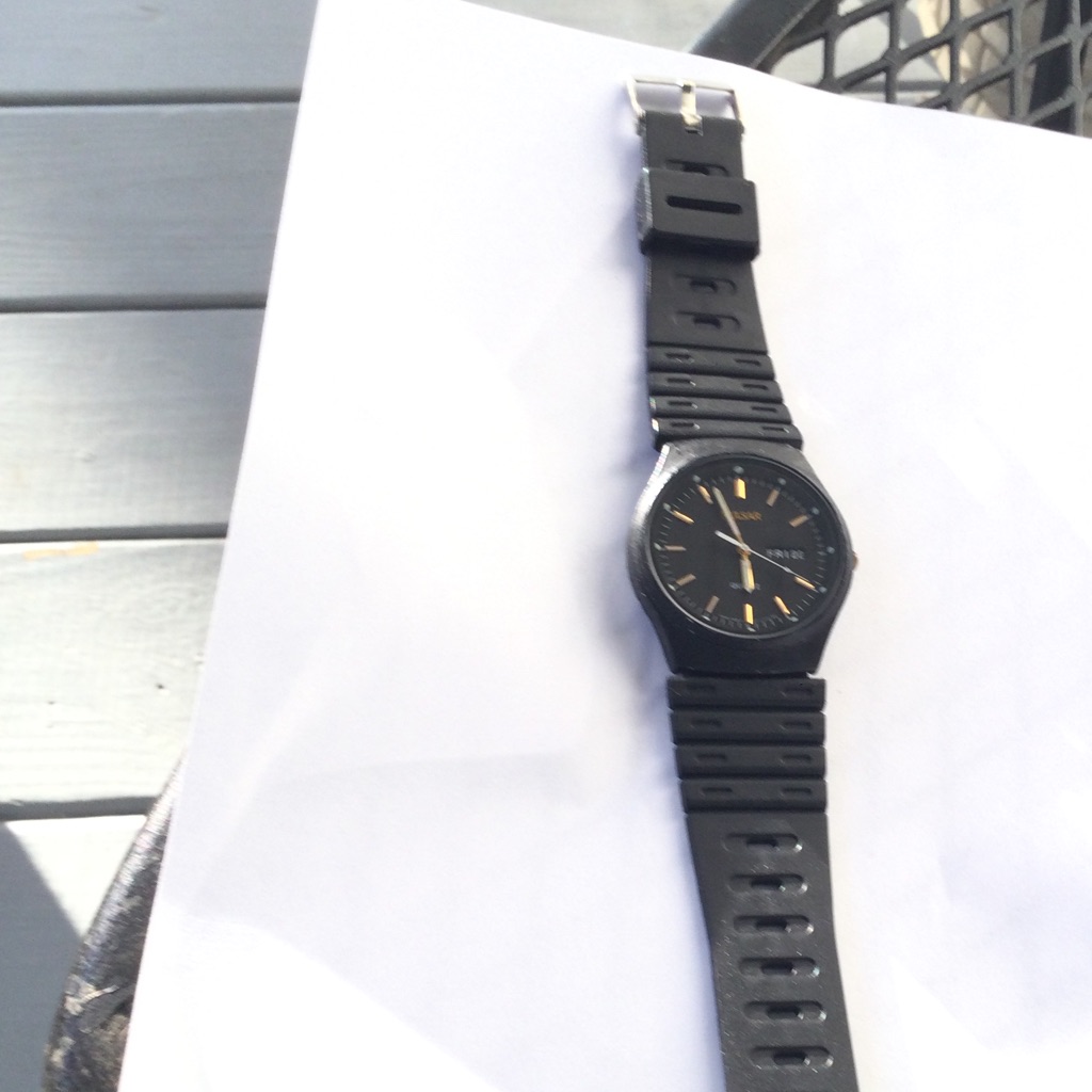 Pulsar Quartz Watch